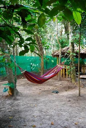 Serene Getaway in Wayanad –2-Bedrooom x Solis Nature