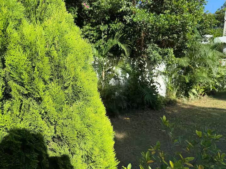 3BHK Villa in Vasant Kunj by Sun N Shade Homes(NCR) x Solis Nature