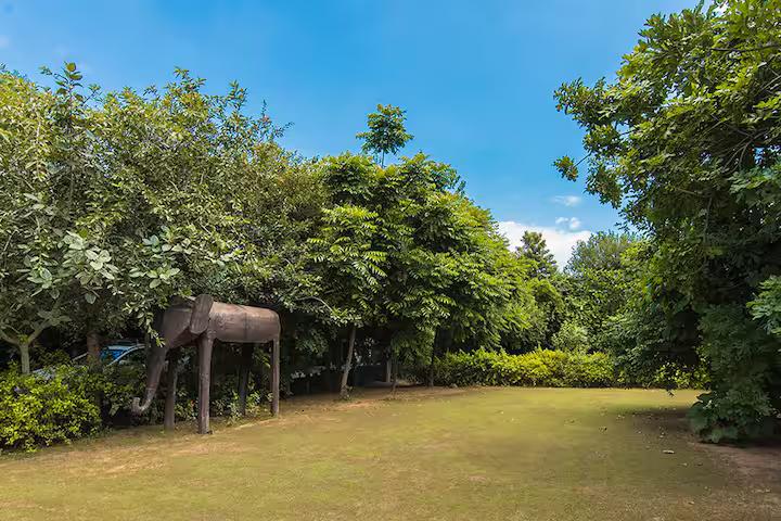 IvyBridge - Pool, Jacuzzi , Gym, Nature (NCR) x Solis Nature