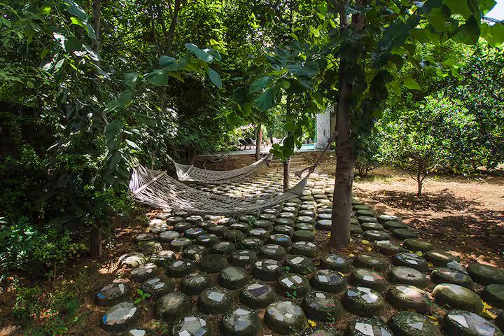 IvyBridge - Pool, Jacuzzi , Gym, Nature (NCR) x Solis Nature