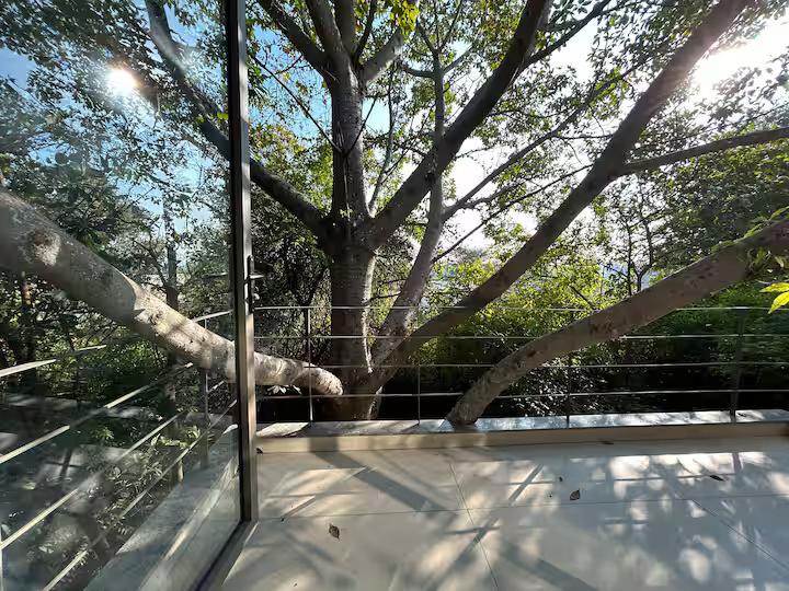 IvyBridge - Pool, Jacuzzi , Gym, Nature (NCR) x Solis Nature