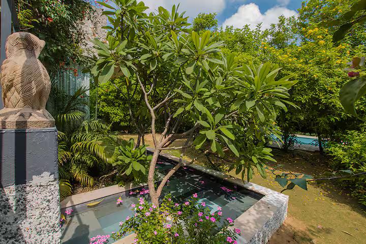 IvyBridge - Pool, Jacuzzi , Gym, Nature (NCR) x Solis Nature