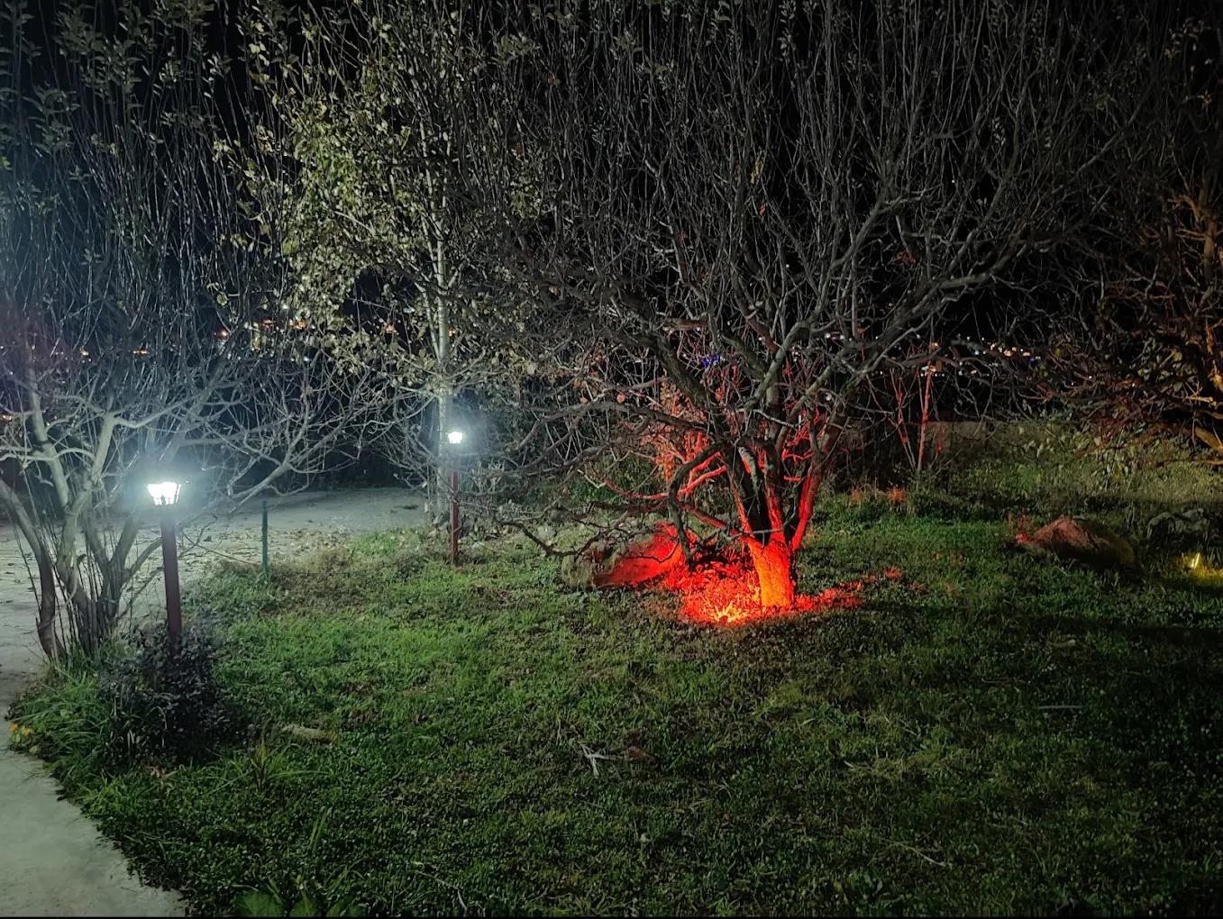 Cottage Palzey Manali x Solis Nature