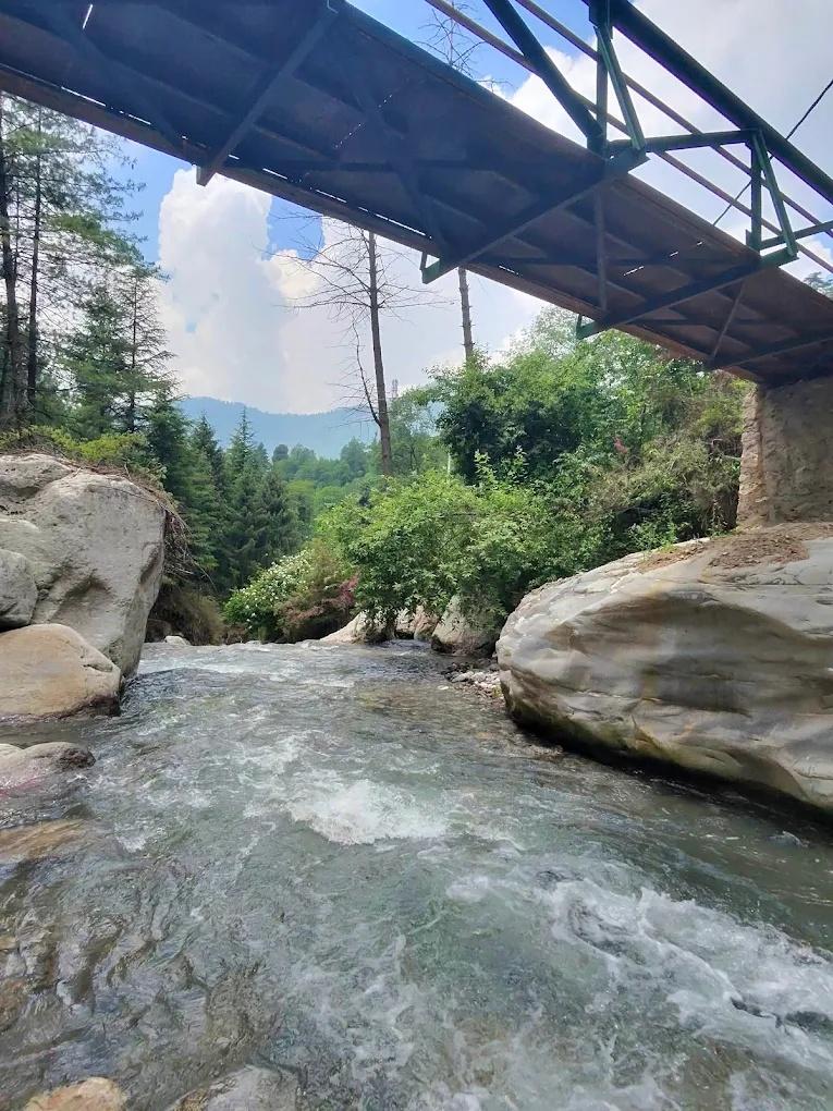 The Lush Pods x Solis Nature