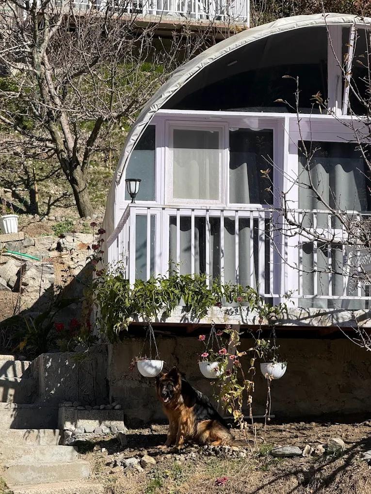 The Lush Pods x Solis Nature