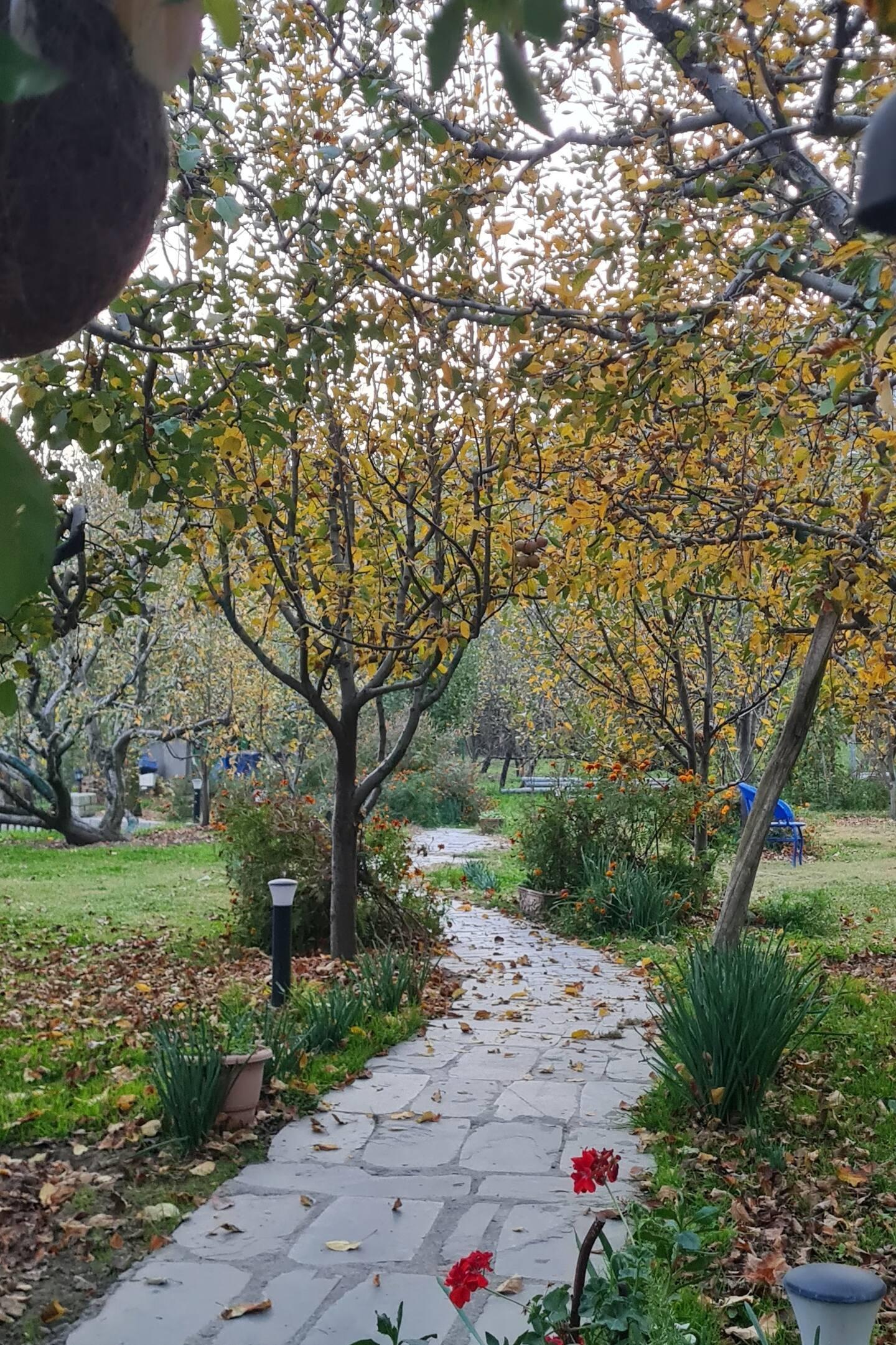 Pehlingpa Home's 3 private bedrooms x Solis Nature