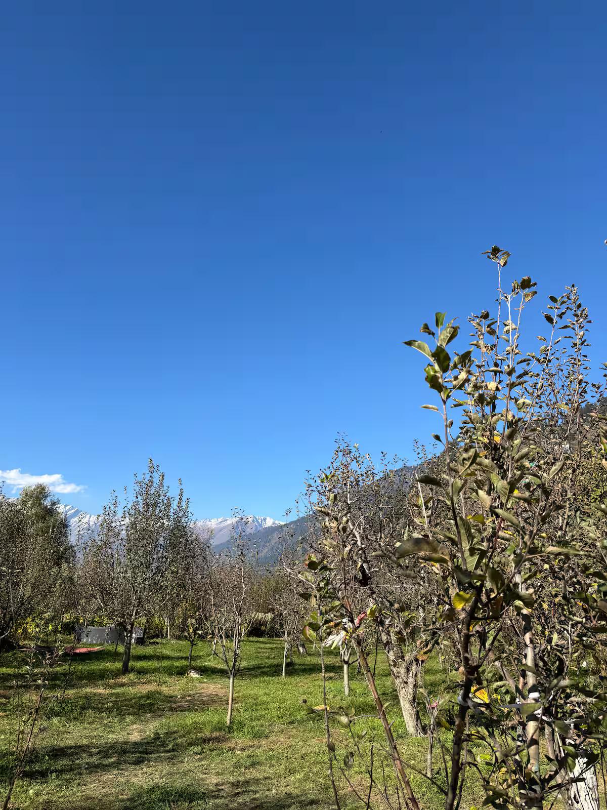 Kahaani | Luxury Wooden Chalet1 in Manali x Solis Nature