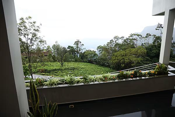 Hills and Heart Luxury stay x Solis Nature