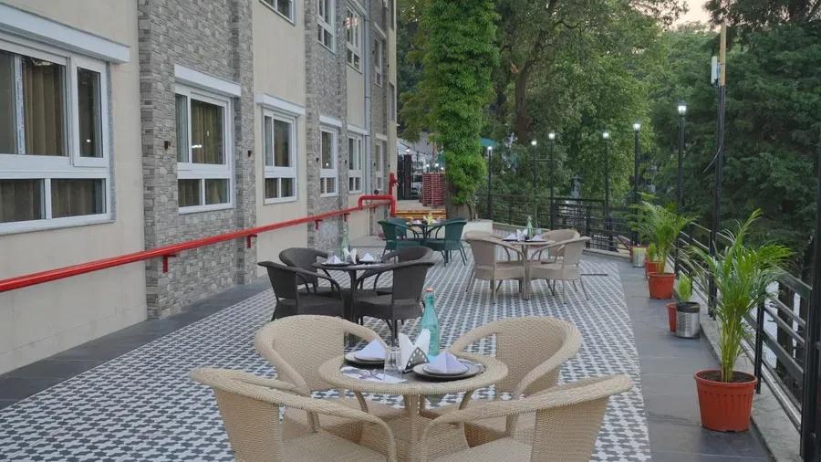 DLS Oak Bush x Solis Nature