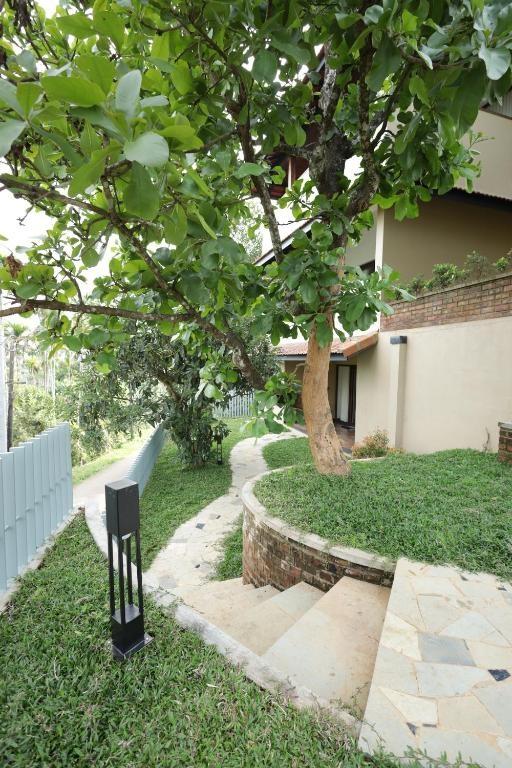 Tangerine Tales Boutique Resort x Solis Nature