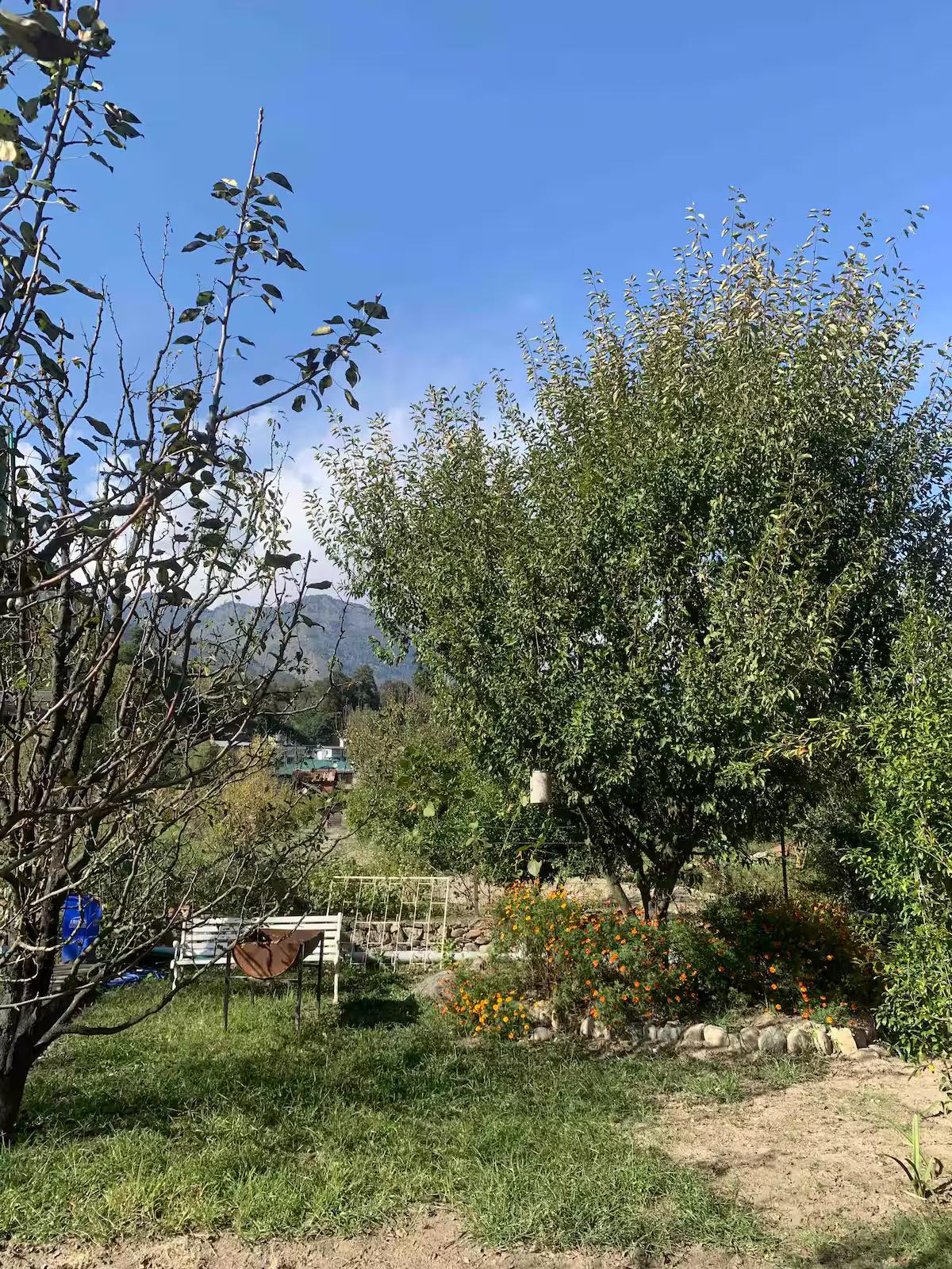 The Neel Nook | Inuksukh x Solis Nature