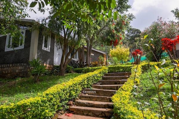 42 Green pastures tea Estate Experience x Solis Nature