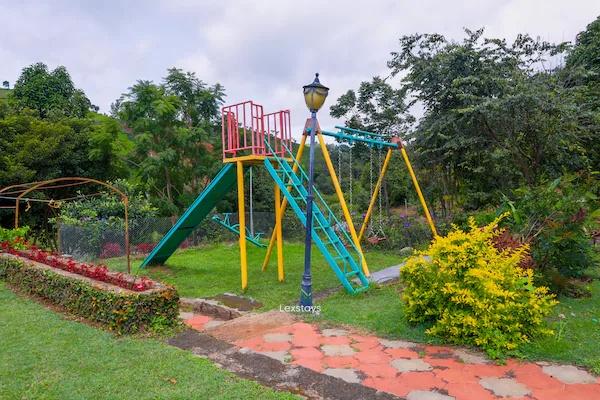 42 Green pastures tea Estate Experience x Solis Nature