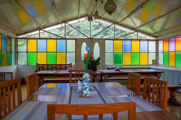 42 Green pastures tea Estate Experience x Solis Nature