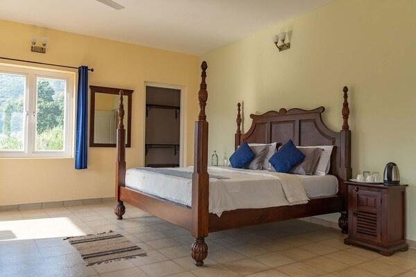 42 Green pastures tea Estate Experience x Solis Nature