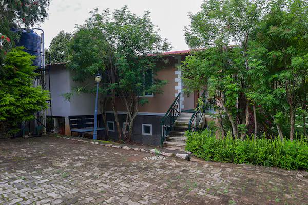 42 Green pastures tea Estate Experience x Solis Nature