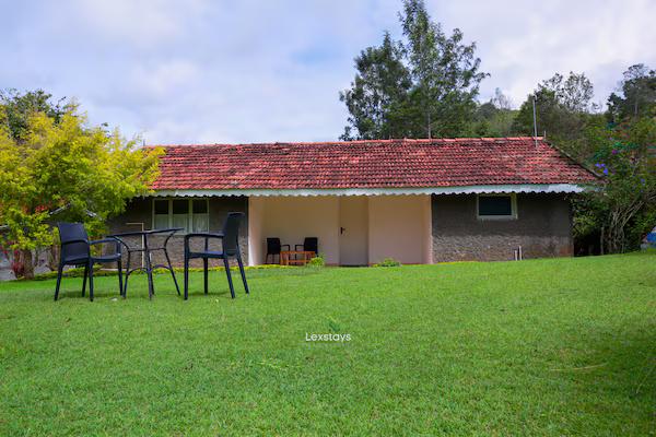 42 Green pastures tea Estate Experience x Solis Nature