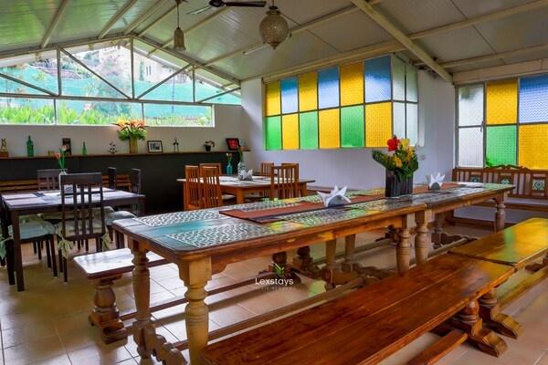 42 Green pastures tea Estate Experience x Solis Nature