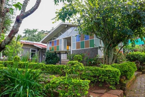 42 Green pastures tea Estate Experience x Solis Nature