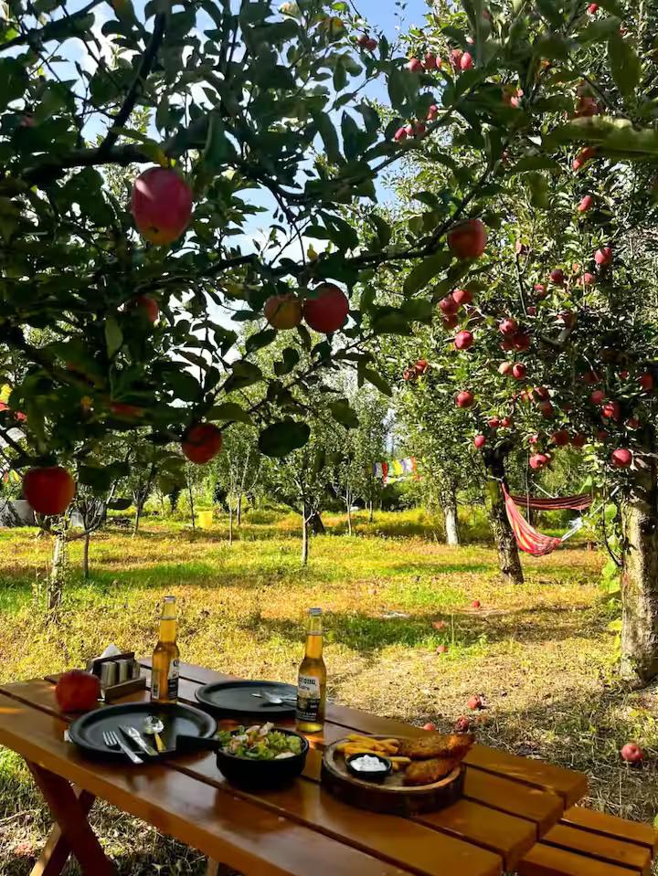 Jagatsukh Luxury Wooden Chalet 2 in Manali x Solis Nature