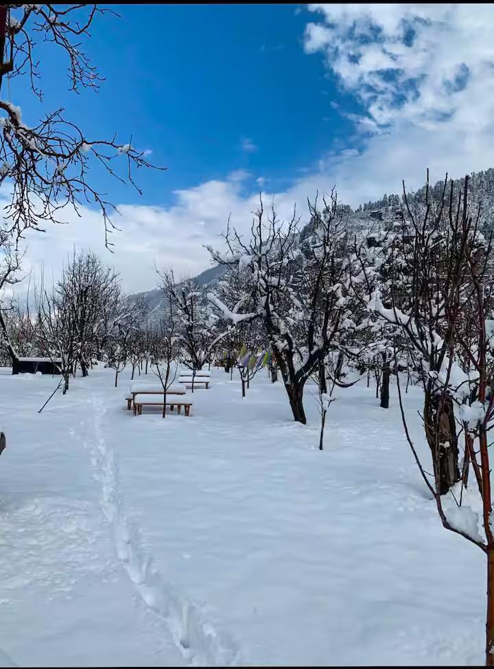 Jagatsukh Luxury Wooden Chalet 2 in Manali x Solis Nature