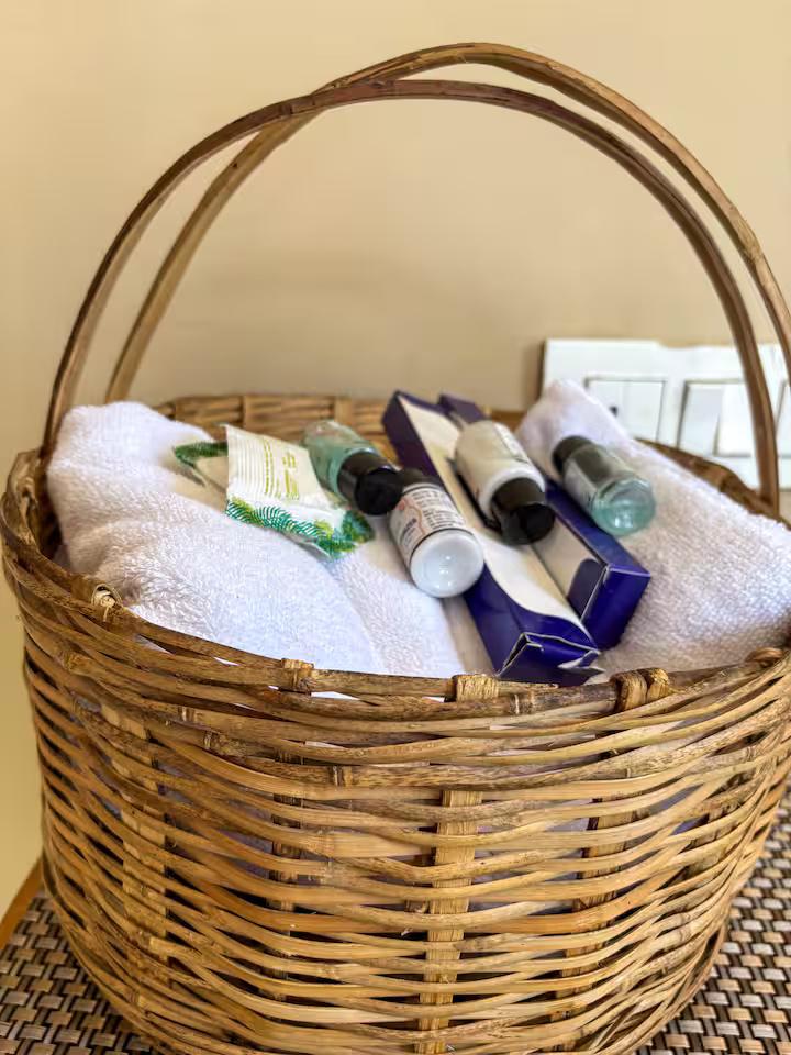 Jagatsukh Luxury Wooden Chalet 2 in Manali x Solis Nature