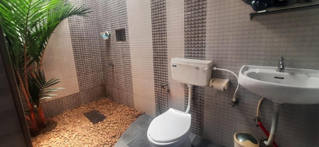 Kallupurackal Heritage Farm House x Solis Nature