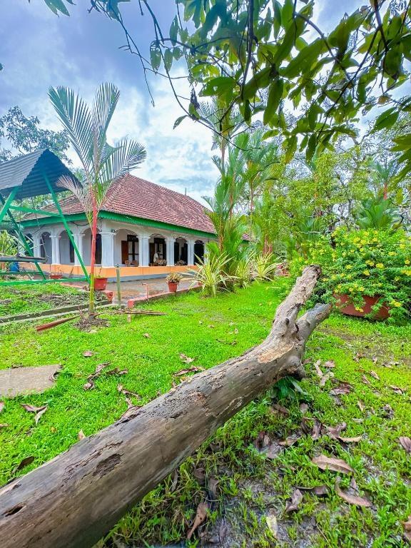 Kallupurackal Heritage Farm House x Solis Nature