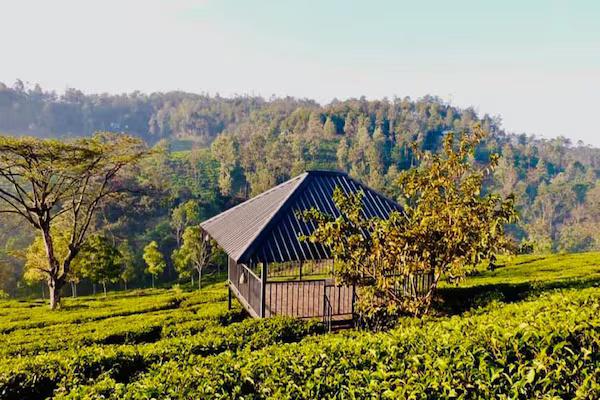 Pekoe Plantation Cottages Kuttikanam x Solis Nature