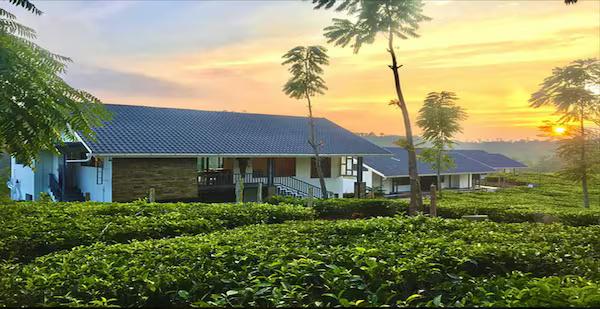 Pekoe Plantation Cottages Kuttikanam x Solis Nature