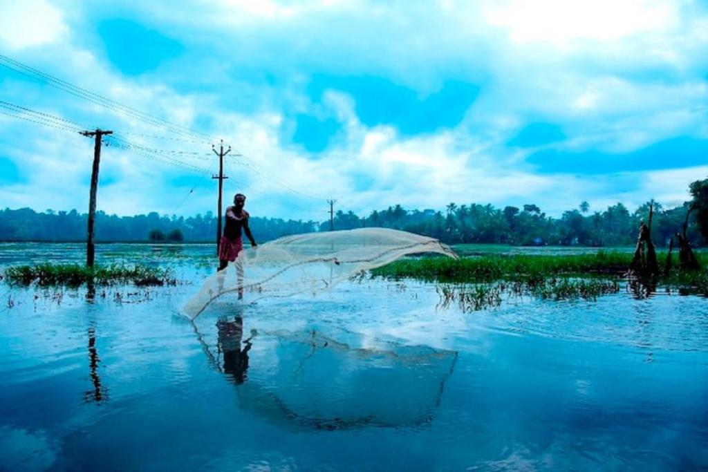 Riverdale Homestay Kumarakom by LexStays x Solis Nature