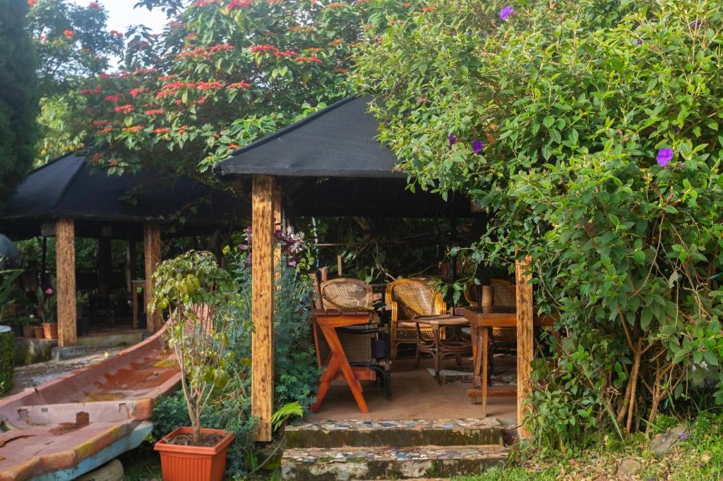 De Rock Jungle Living Resort - Cliff View Room x Solis Nature