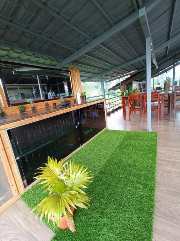 Moonlight Chillers By LexStays | Executive Room x Solis Nature