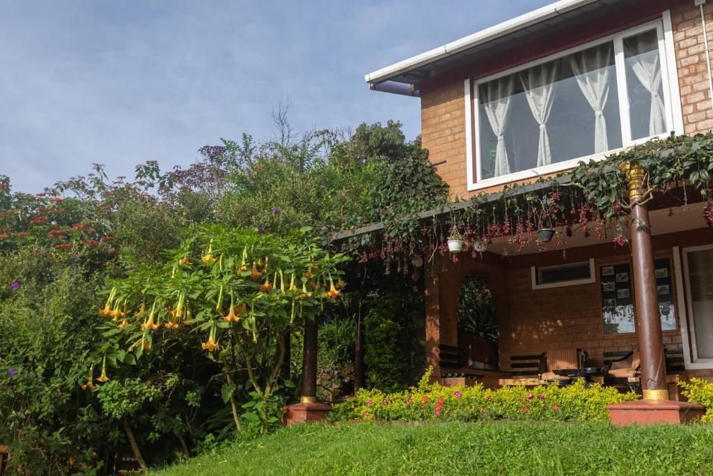 De Rock Jungle Living Resort -Plain View Room x Solis Nature