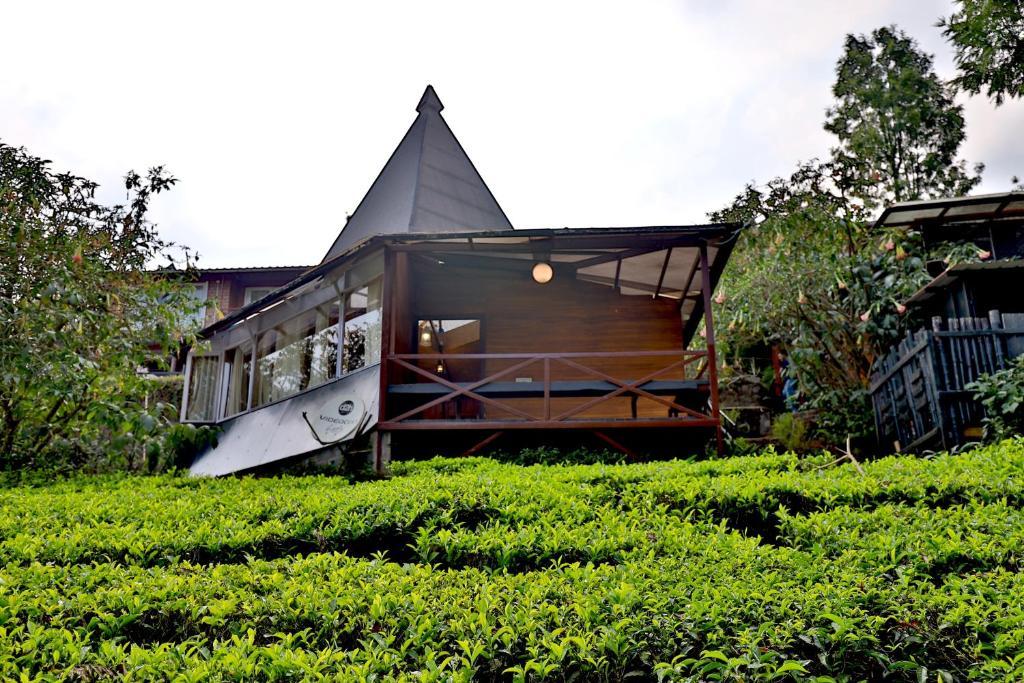 De Rock Jungle Living Resort - Valley View Room x Solis Nature