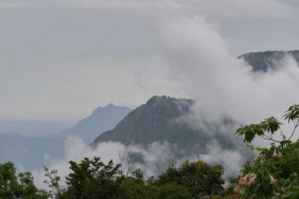 Rain Forest Premium double room Room -   by De Rock Ju x Solis Nature