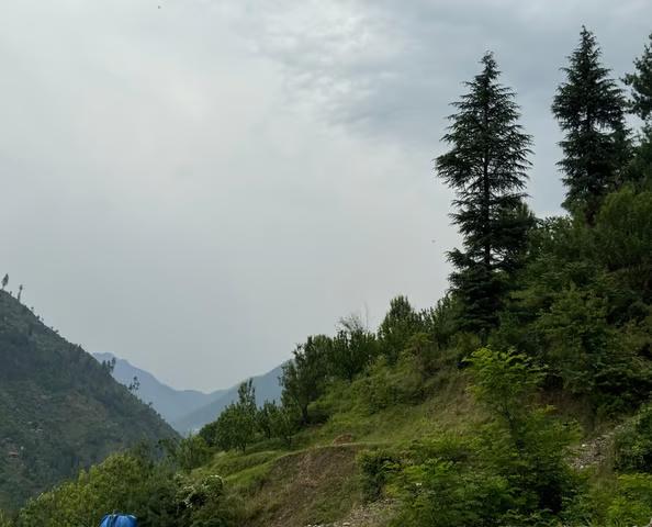 The Tirthan House x Solis Nature