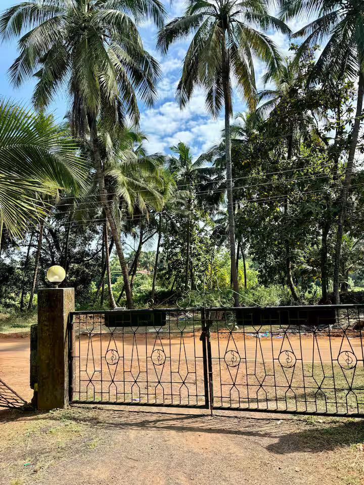 Uptown Escape by Comfort Quarters x Solis Nature