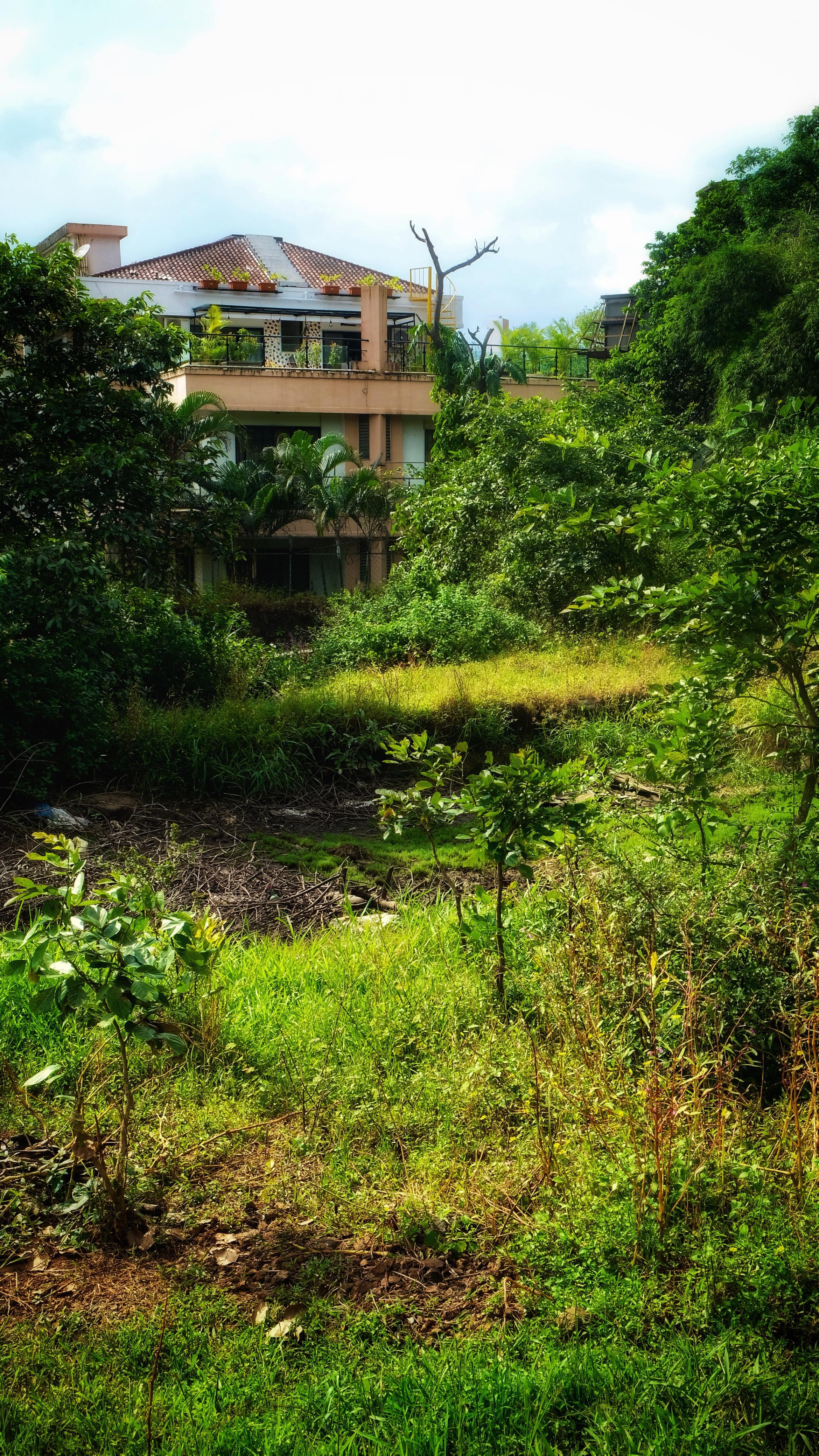 Kumo Space by Dot Life x Solis Nature