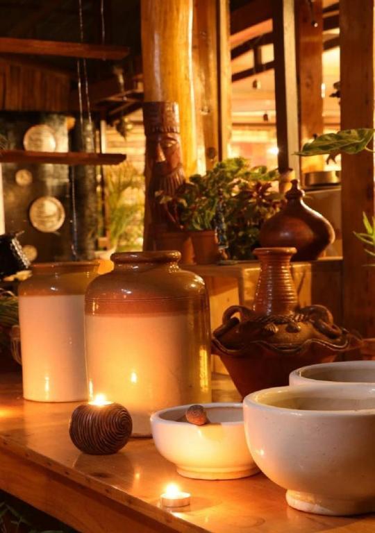 De Rock- Jungle Living x Solis Nature