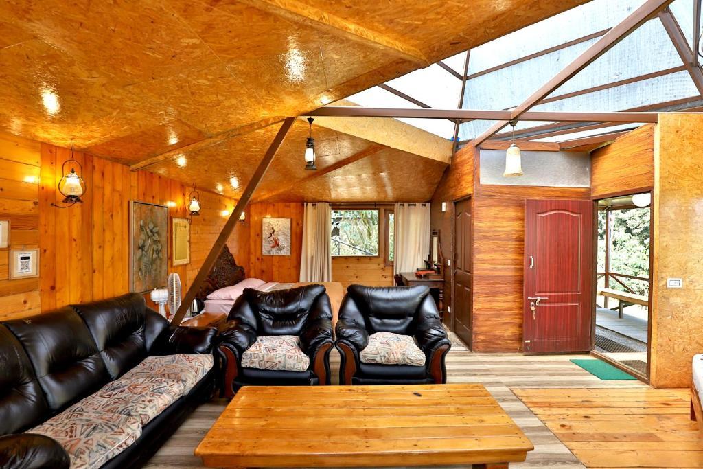 De Rock- Jungle Living x Solis Nature