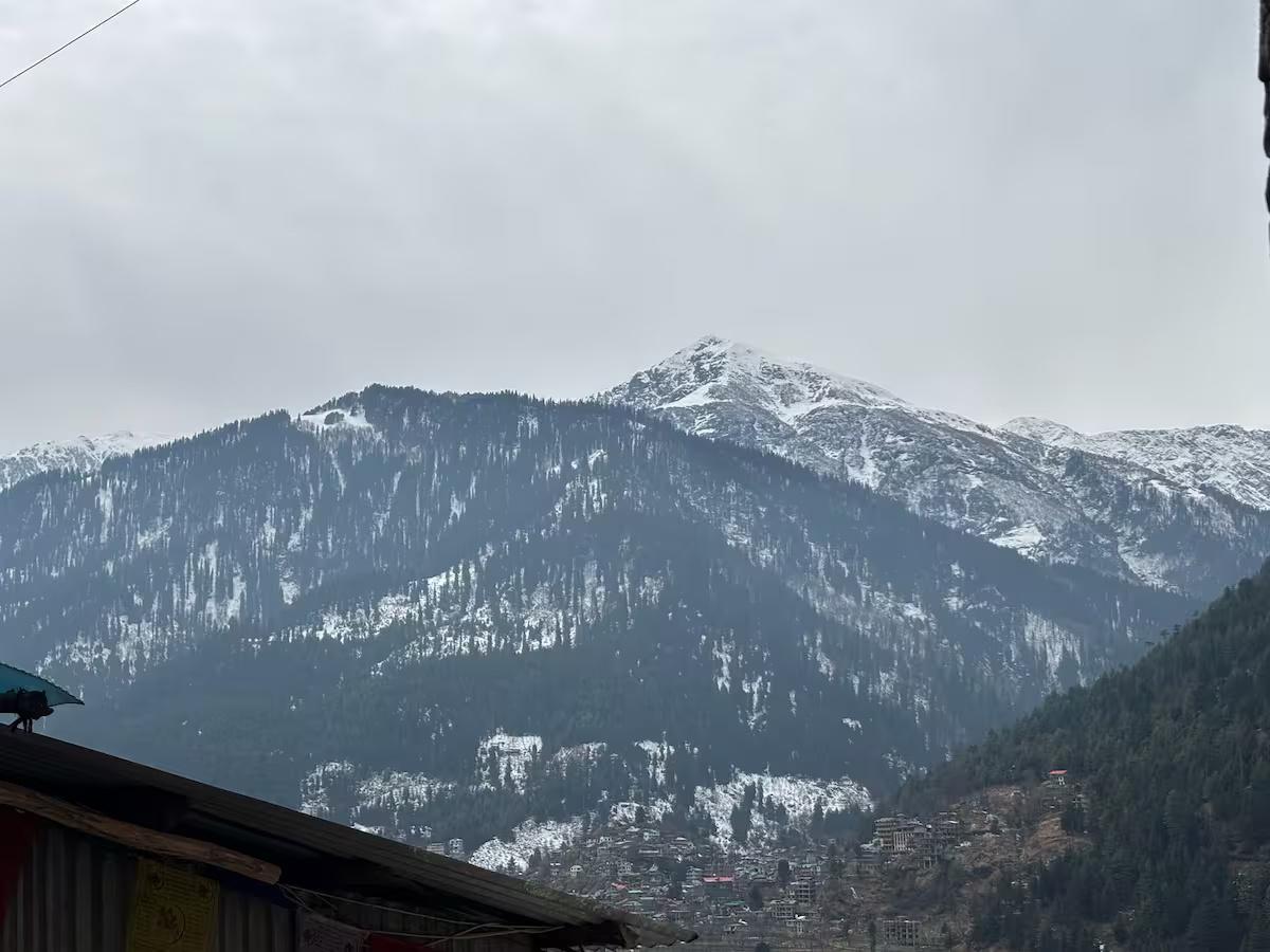 1 Himalayan Apple Orchard | Cozy Stay in Orchards x Solis Nature