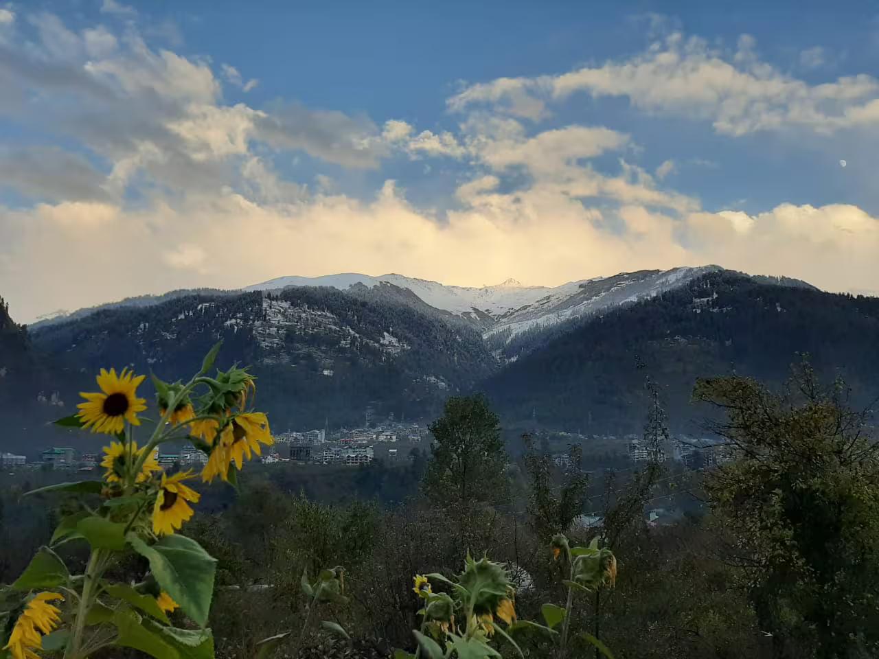 Chalet cozy room with mountain view x Solis Nature