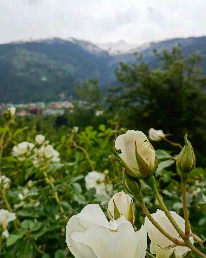 Chalet cozy room with mountain view x Solis Nature