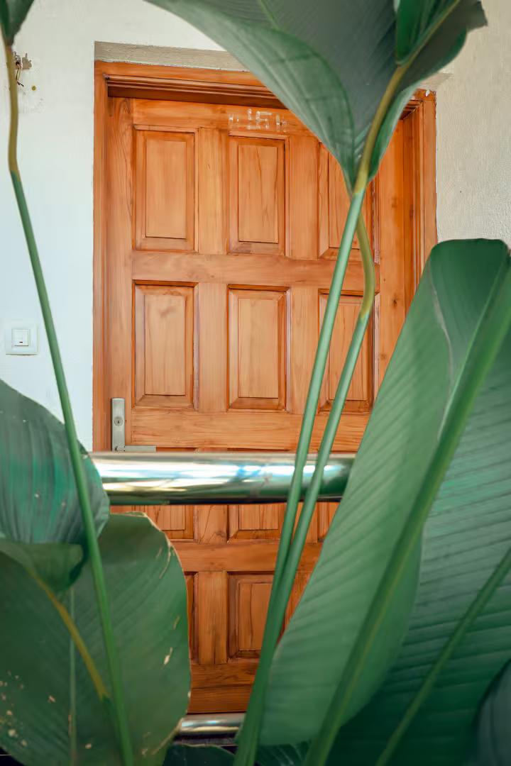 JD-104 Apartment - 1BHK Assagao x Solis Nature