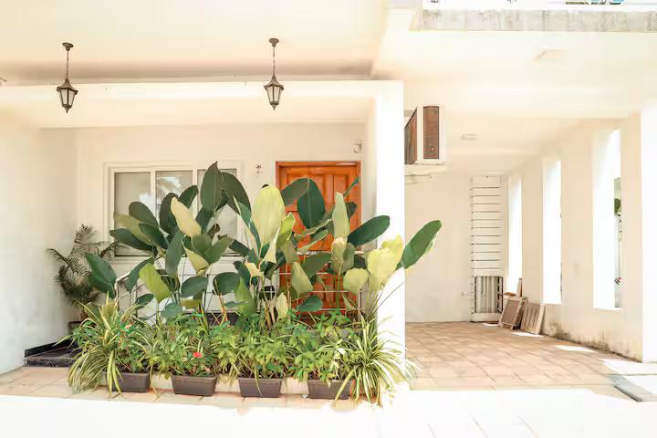 JD- 204 Apartment - 1BHK Assagao x Solis Nature
