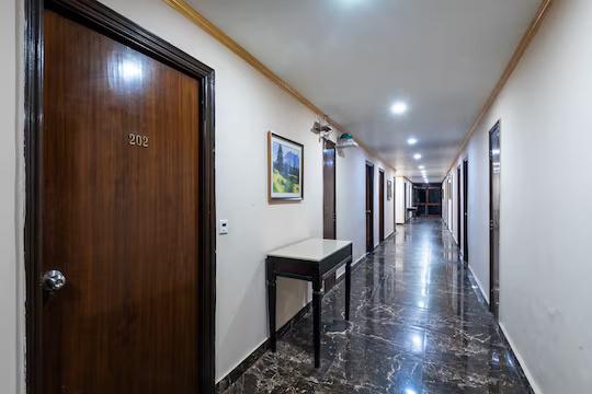 DLS The pearl x Solis Nature