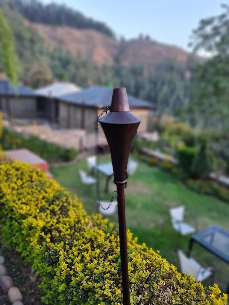 DLS Hill Crest x Solis Nature