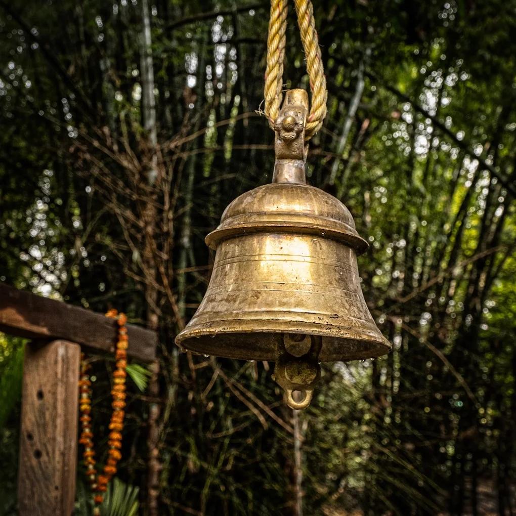 Rishis International x Solis Nature