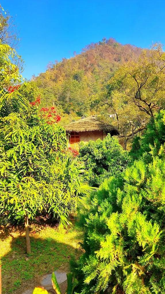 Rishis International x Solis Nature